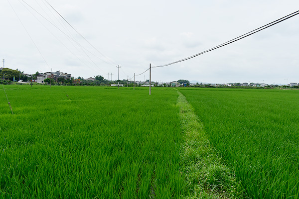 基地展示