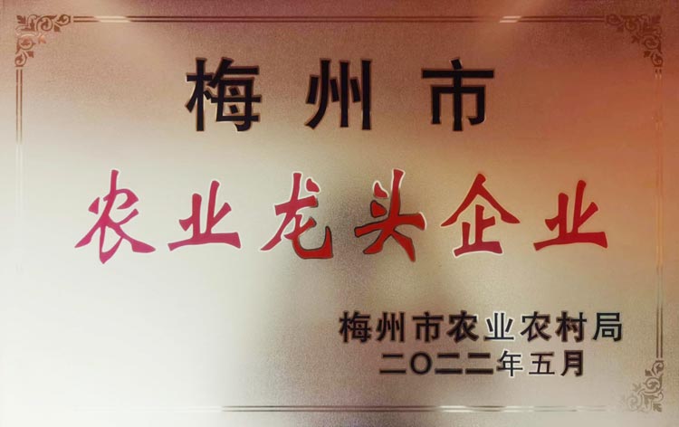 梅州市農業(yè)龍頭企業(yè)